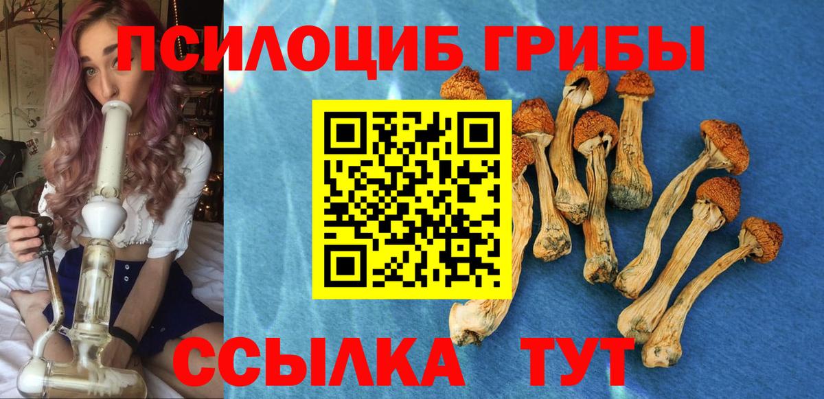 Кинель  Галлюциногенные грибы MAGIC MUSHROOMS  Галлюциногенные грибы мицелий  Вход с VPN 